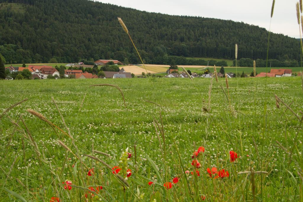Fewo Alte Schule Willingen  Dış mekan fotoğraf